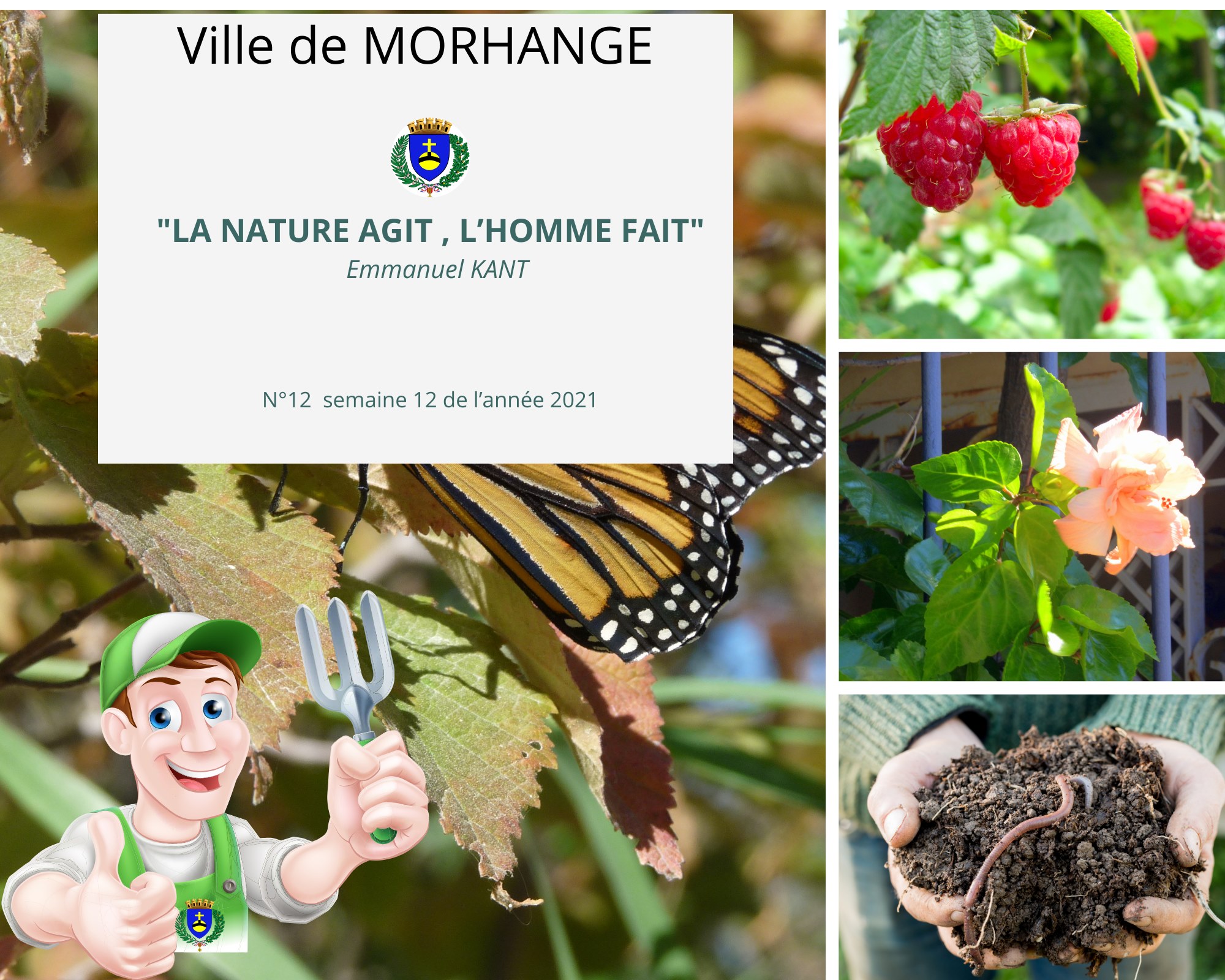 La nature agit, l'homme fait : Semaine 12